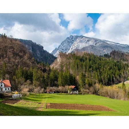 Turisticna Kmetija Stoglej Villa Luce Bagian luar foto