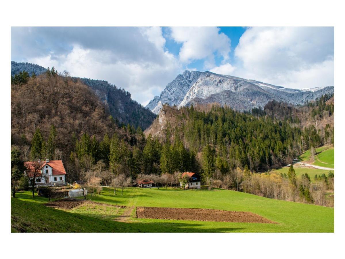 Turisticna Kmetija Stoglej Villa Luce Bagian luar foto