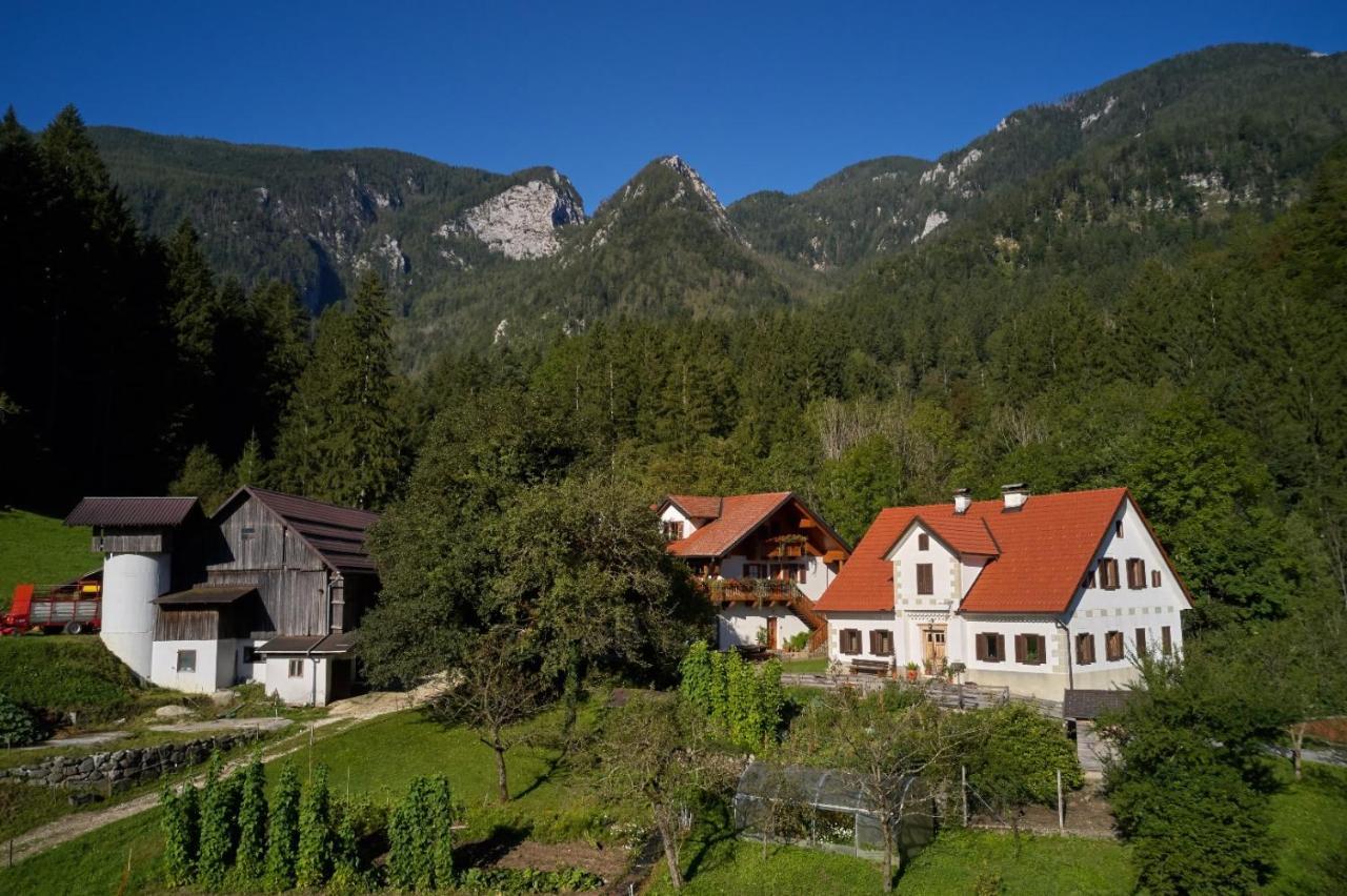 Turisticna Kmetija Stoglej Villa Luce Bagian luar foto