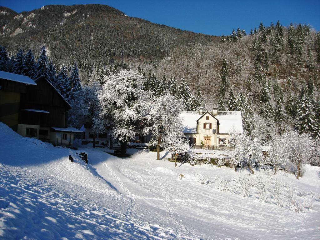 Turisticna Kmetija Stoglej Villa Luce Bagian luar foto